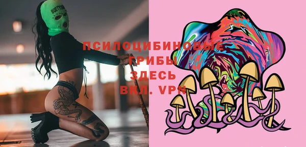 стафф Абаза