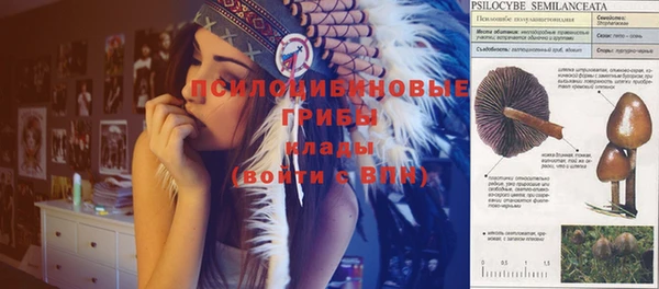 молекула духа Абдулино