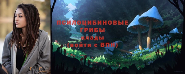 PSILOCYBIN Осинники