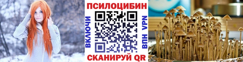 Галлюциногенные грибы мухоморы Ржев